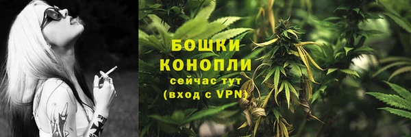 гидра Беломорск