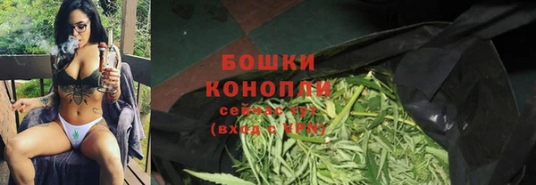 гидра Беломорск