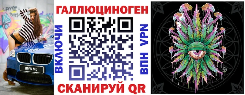 дарк нет официальный сайт  хочу   Короча  Галлюциногенные грибы GOLDEN TEACHER 